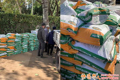 園林綠化用的樹木涂白劑哪里買？這些渠道你一定要知道