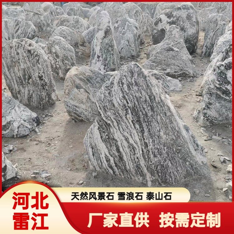價格背后的“王者” 探索真正的泰山石在園林綠化中的價值所在